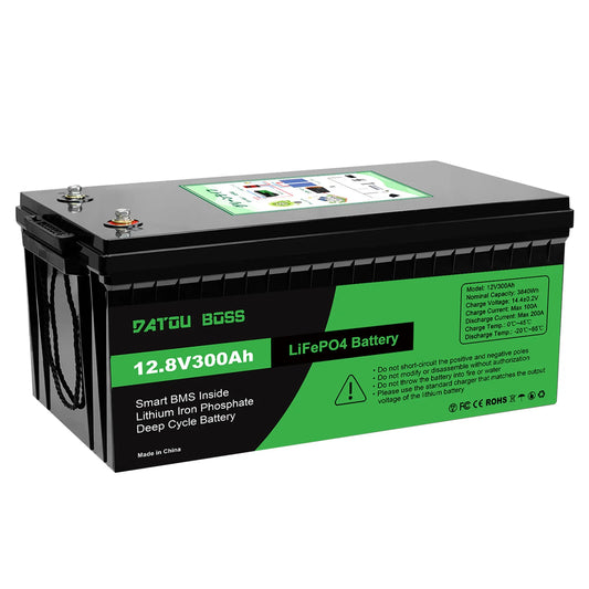 DATOUBOSS 12V 100Ah LiFePO4 Battery With 100A BMS High Cycle