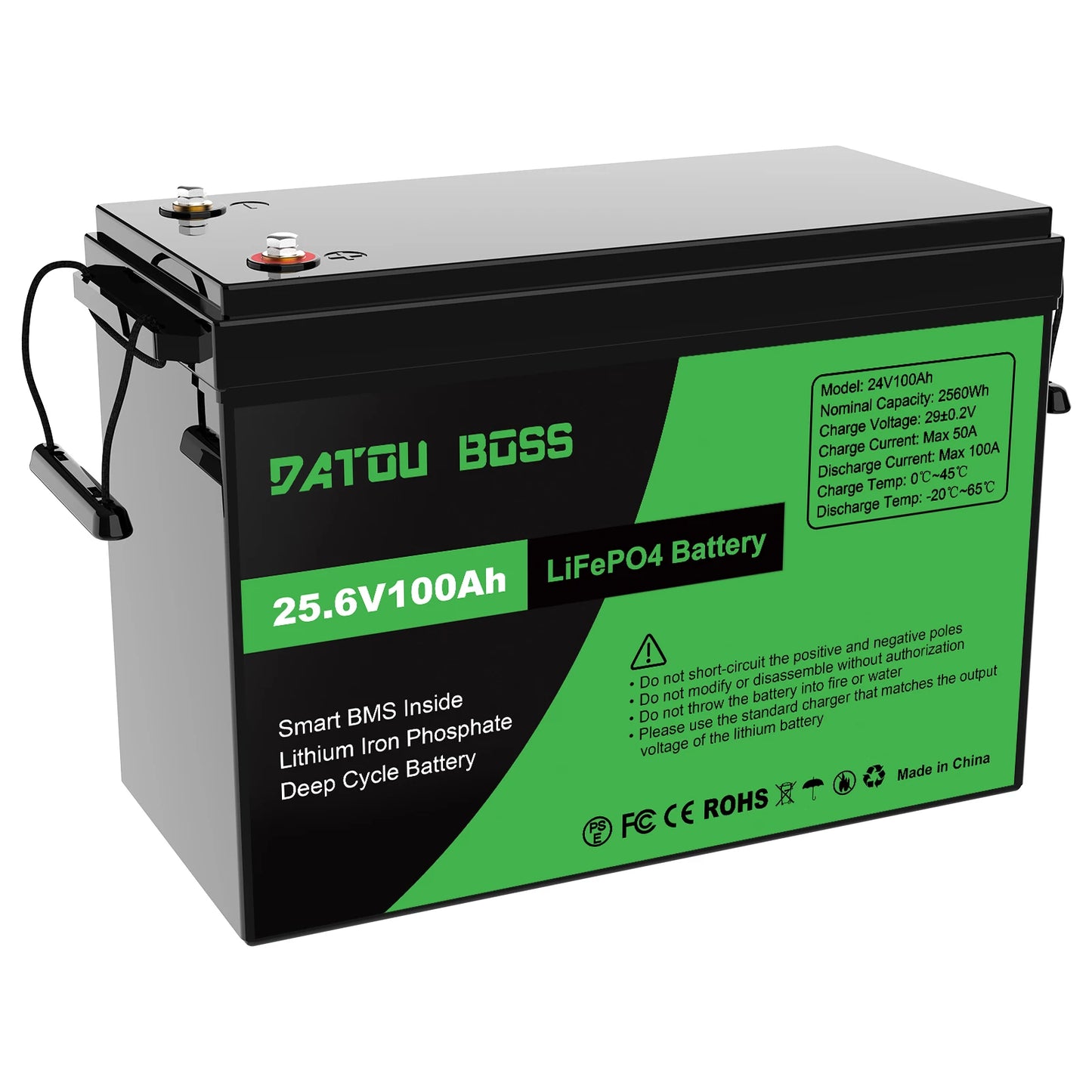 DATOUBOSS 12V 100Ah LiFePO4 Battery With 100A BMS High Cycle